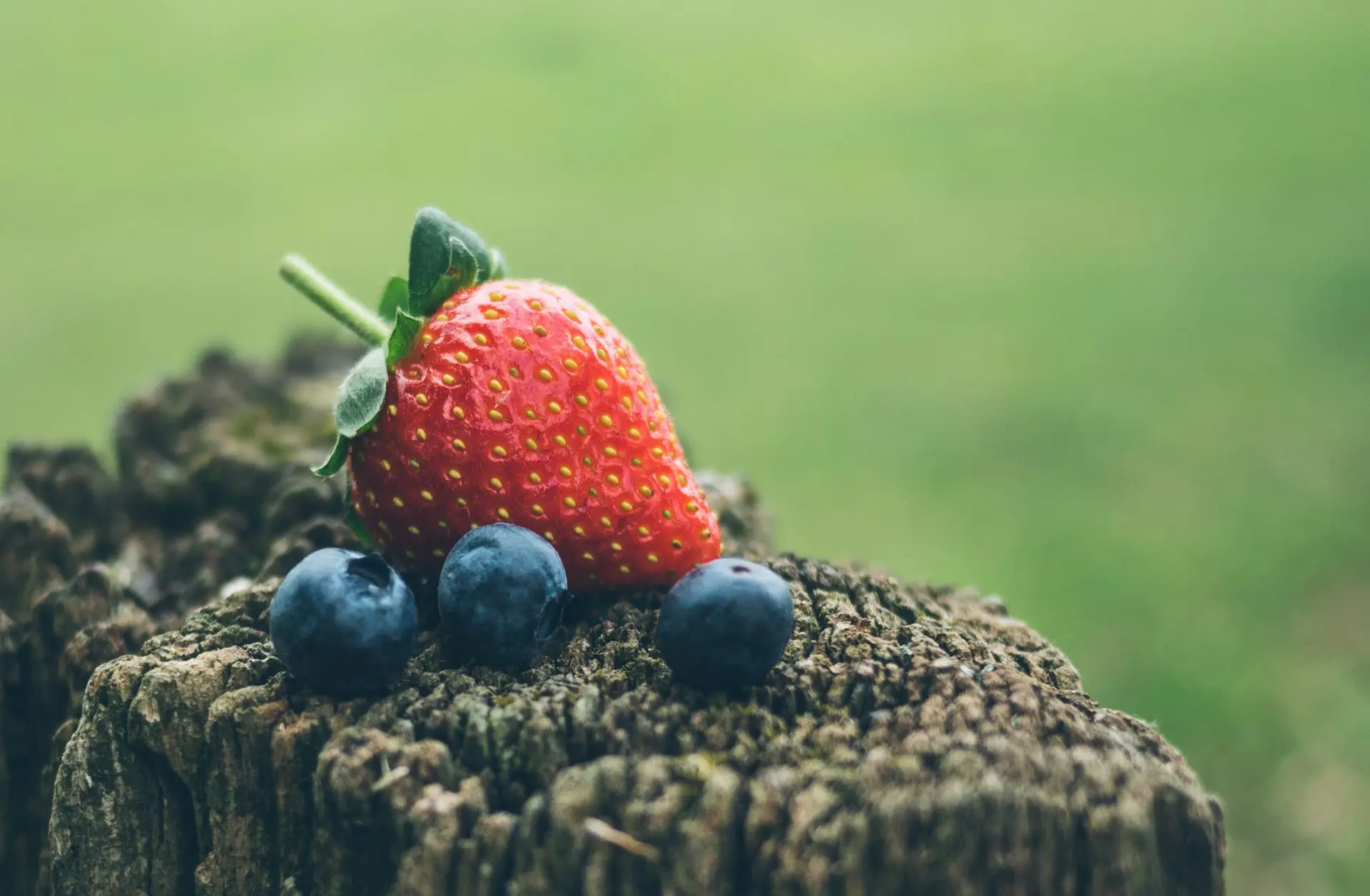 strawberry and three blueberries in closeup photography